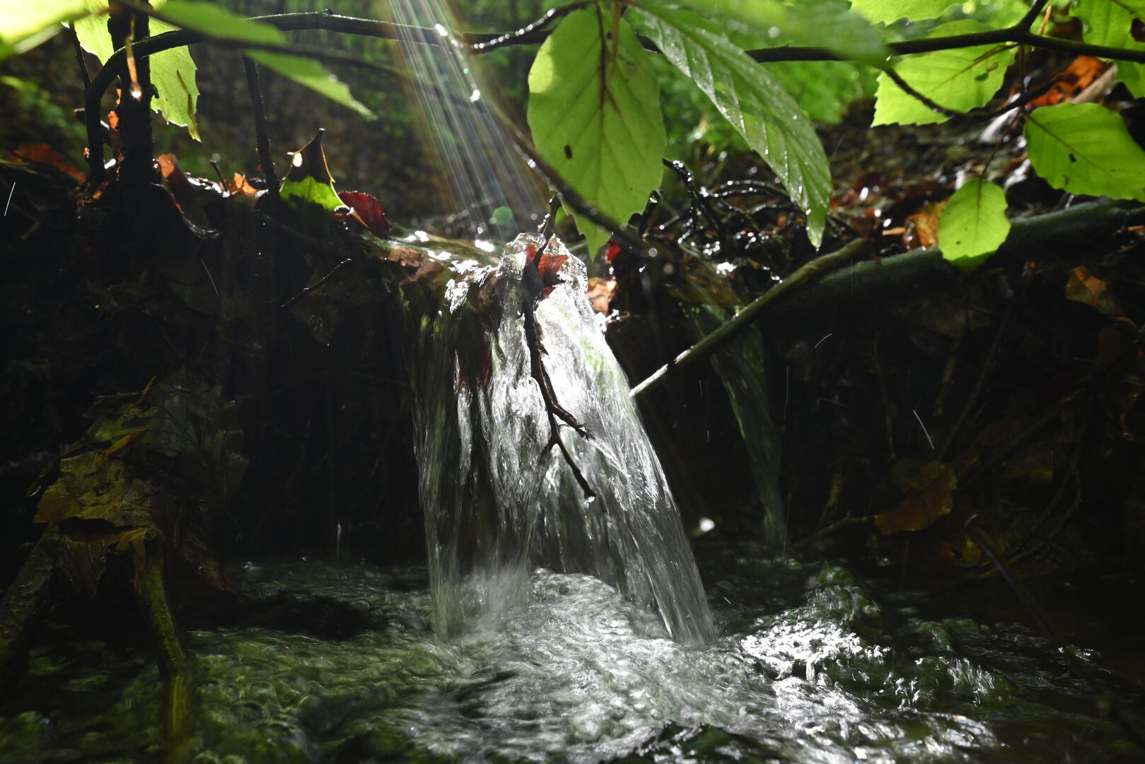Sonnenstrahl geht in eine Stromschnelle über